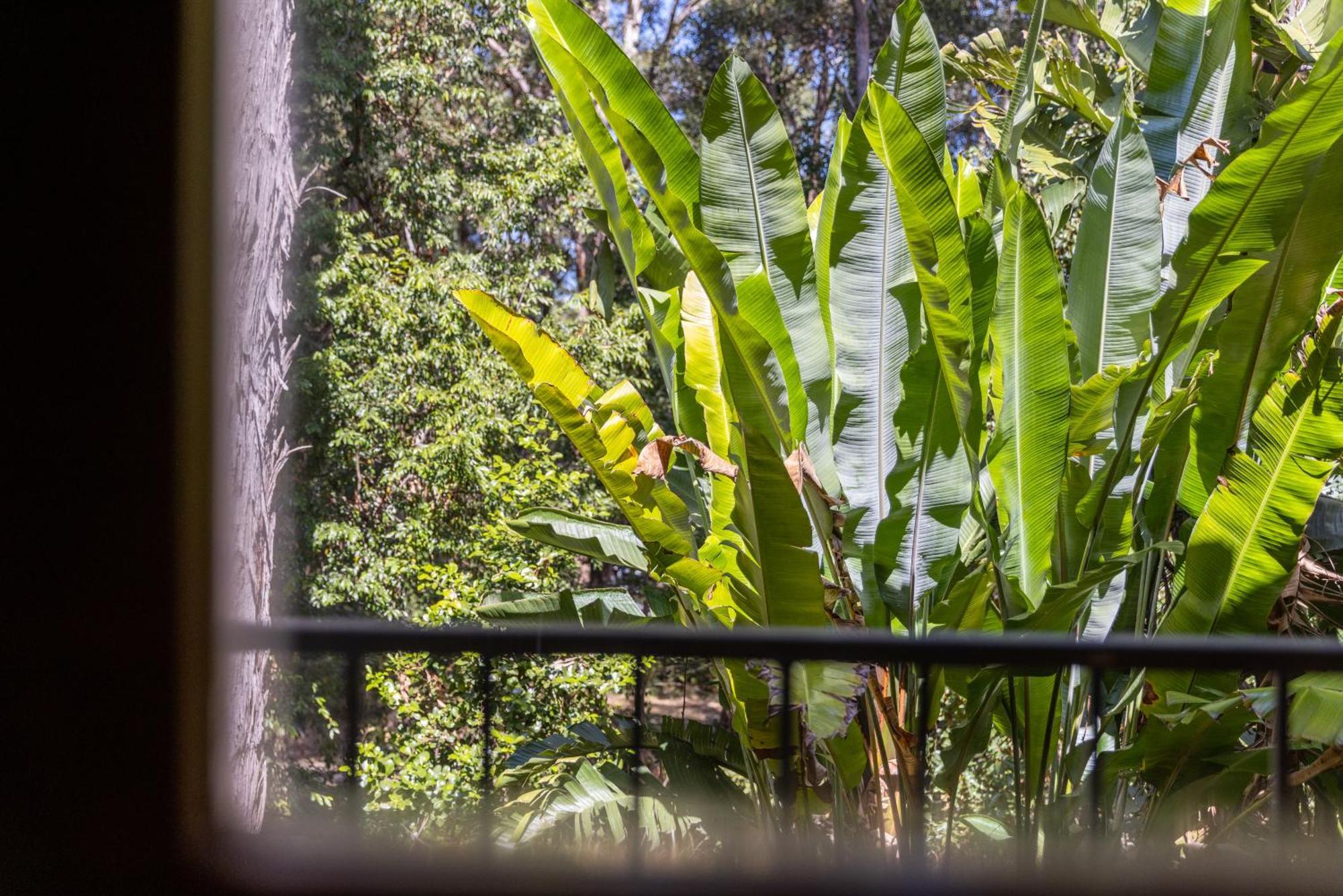Sanctuary Resort Motor Inn Coffs Harbour Bagian luar foto
